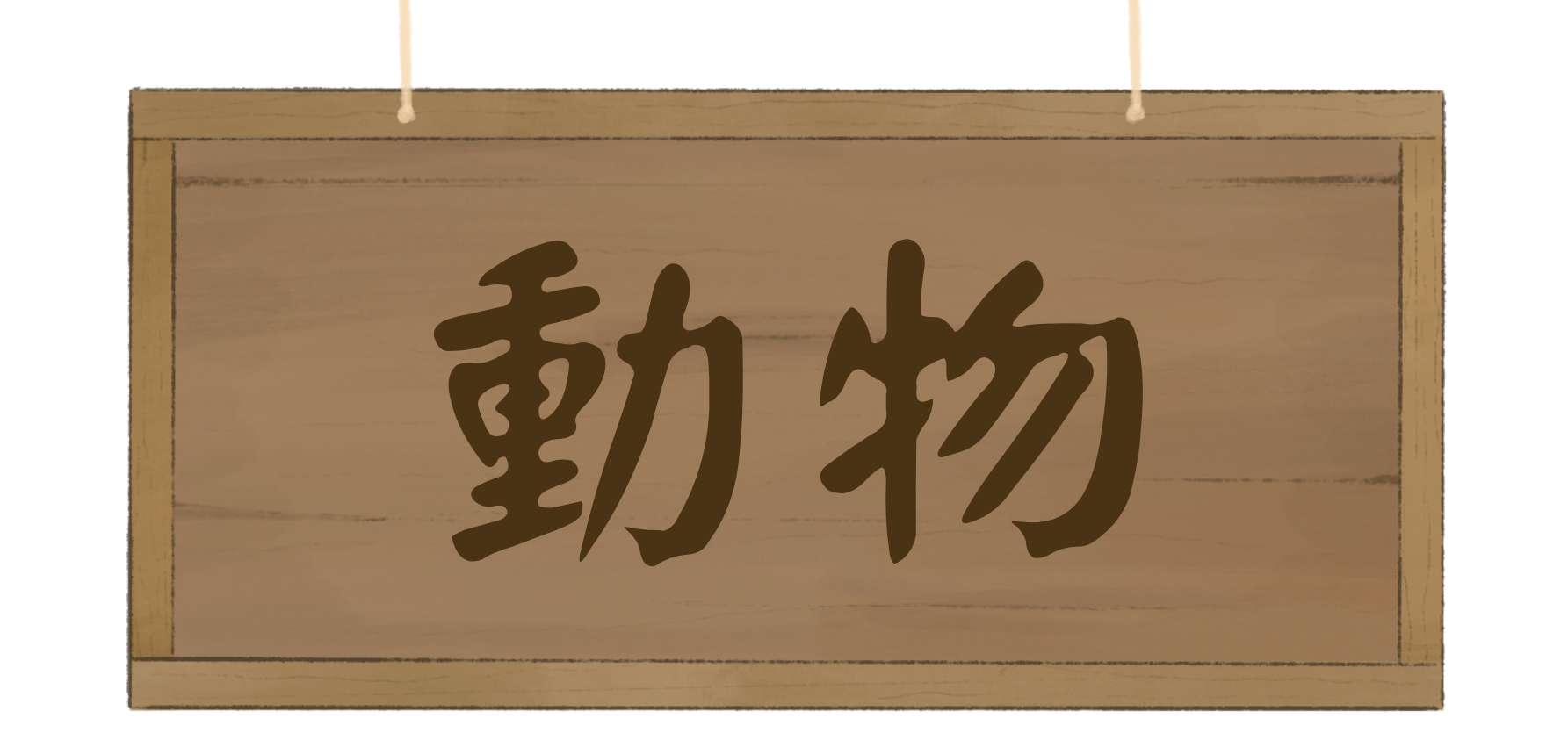 動物